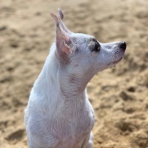 Meet your Posher, Louise